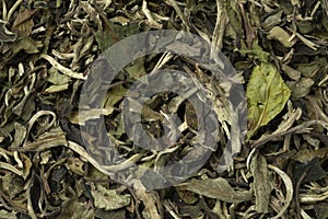 Chinese Pai Mu Tan tea close up full frame
