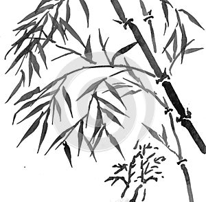 Oriental sumi bamboo painting