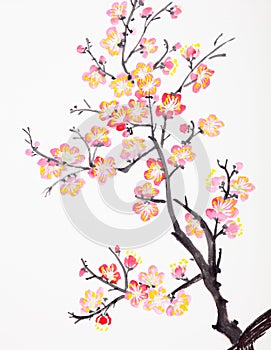 Chinese painting of flowers, plum blossom photo