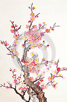 Chinese painting of flowers, plum blossom