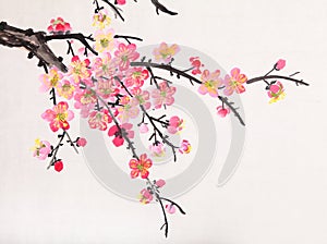 Chinese painting of flowers, plum blossom photo