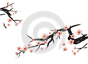 Chinese painting of pink plum