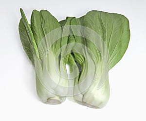 Chinese Pak Choy vegetable. photo