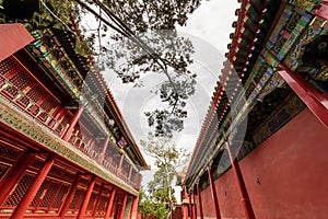 Chinese Palace with trees