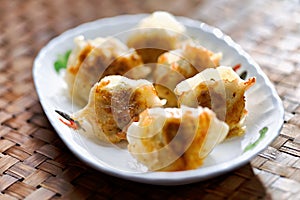 chinese pan fried dumplings