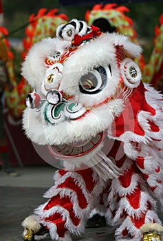 Chinese Parade photo