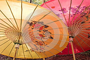 Chinese parasols.