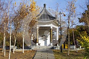 Chinese pavilion architectures in a park