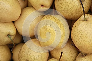 Chinese pear