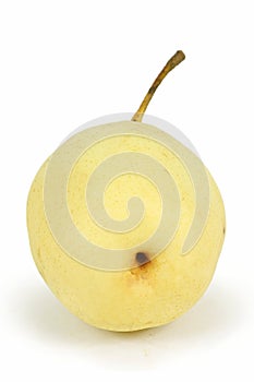 Chinese pear