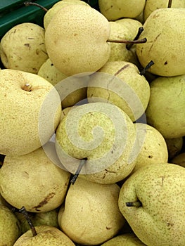 Chinese Pear