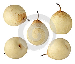 Chinese pear isolated on a white background.