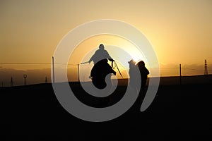 Chinese people riding camel at sunset