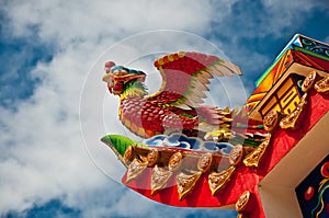 The Chinese phoenix