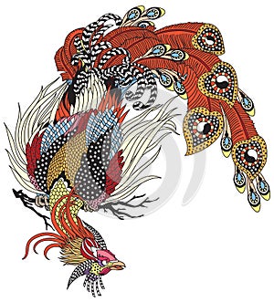 Chinese phoenix or Feng Huang magical bird