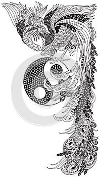 Chinese phoenix feng huang with yin yang symbol