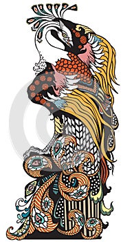 Chinese phoenix Fenghuang. Vector illustration