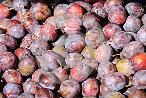 Chinese Plums