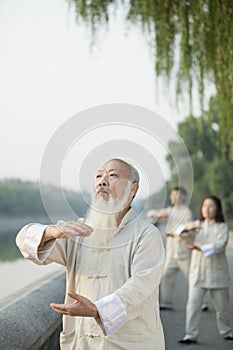 Chinese Practicing Tai Ji