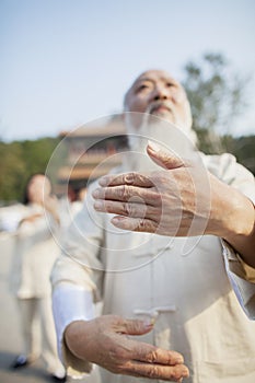 Chinese Practicing Tai Ji