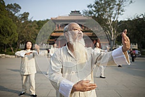 Chinese Practicing Tai Ji