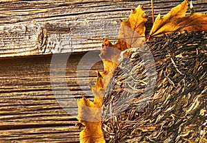 Chinese pressed tea on wooden table