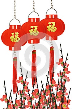 Chinese prosperity lanterns and plum blossom