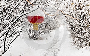 Chinese red lantern northeast snow tree photo