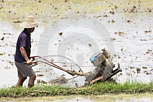 Chinese Rice Farming