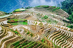 Chinese Rice Terraces