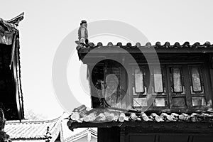 Chinese roofs in the Old Town of Lijiang