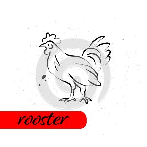 Chinese rooster year calendar animal silhouette isolated on white textured background.