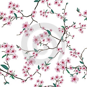 Chinese sakura white seamless vector pattern
