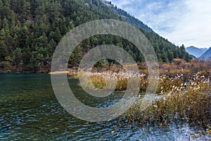 Chinese Scenery - Autumn in Jiuzhaigou