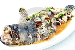 Chinese Seafood Dish - Delicious Steamed grouper.