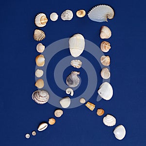 Chinese character made of shells photo