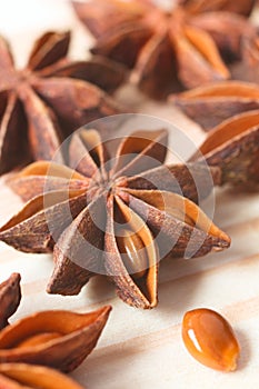 Chinese star aniseed