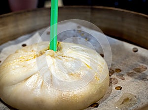 Chinese steam bun xiaolongbao