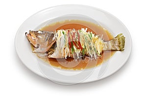 Chinese steamed whole Hong Kong grouper photo