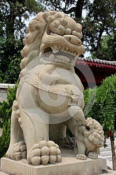 Chinese Stone Lion