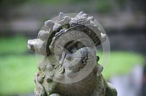 Chinese Stone Lion Fayu Temple