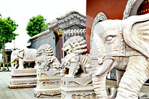 The Chinese stone sculpture, stone lion and elephant