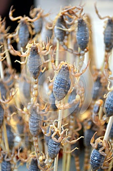Chinese street food in Beijing Wangfujing Street roasted scorpions as snack street food in China