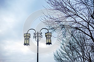 Chinese street lamps and branches photo