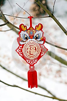 Chinese style blessing sign hangs on the branch.