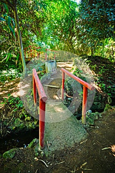 Chinese style bridge in asian part of tropical botanical garden in Lisbon, Portugal