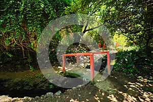 Chinese style bridge in asian part of tropical botanical garden in Lisbon, Portugal