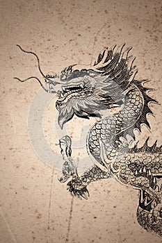 Chinese style dragon Drawing