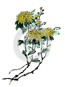 Chinese-style drawings, sketches, chrysanthemum flower