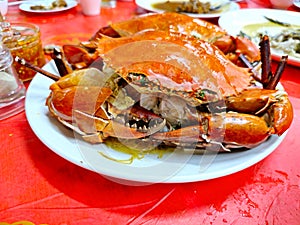 Steam fresh sea crab with vermicelli